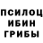 Псилоцибиновые грибы ЛСД Mariya Lisitsyna