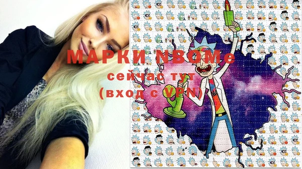 гидра Алексин