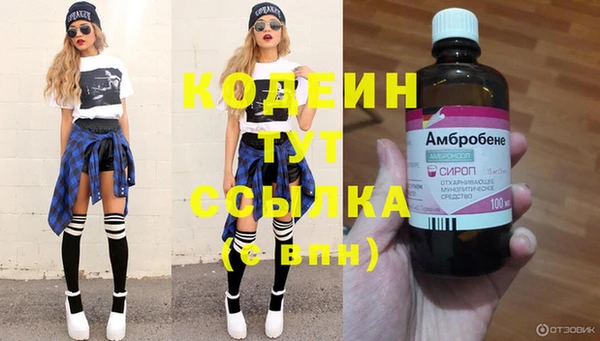 ешки Алзамай